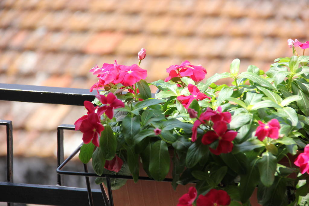 B&B Casa Venezia Bernalda Rom bilde